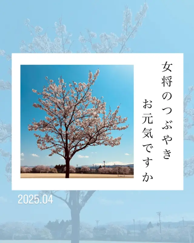 .
.
【女将のつぶやき】
.
.
『お元気ですか』
.
.

ごめんください。
やっちゃん、今年も桜の季節がやってきました。
昨年はけこちゃんと一緒のお花見2ショットの素敵な写メ送ってくれましたね。
自由が丘、二子玉をお散歩しては豪華なランチをして、そのたびにLINEを下さり、やっちゃんのユニークなコメントにいつもにんまり‼︎
けこちゃんのお誕生日の時は、10才若く言うからつっ込んだら
“すみません。鶴岡周辺に10才落ちてませんか？”ってジョークで笑わせてくれます。
こんなLINE出来なくなって寂しいです。
そちらに行ってもう半年ですね。
桜は咲いていますか。

.
私が嫁いで来て二年後にけこちゃんがやっちゃんを連れて鷲田家に挨拶にいらした時の事、鮮明に覚えています。
当時、CM専門のカメラマンをしていて、海外での仕事が多く、やっちゃんがあまりに新鮮で
“すごーい”と目を丸くすることが多かったと記憶しています。
シャイで寡黙で口数少なく、でも、当時のNTTのCMで芸術家の岡本太郎さんとエジプトに行っていた時の話をする時は、やっちゃんの目が輝いていました。

私は長男の嫁だけど、夫とは11才半離れているので、妹、弟、妹、皆さんが年上ですが、いつも私を立ててくれ、本当にありがたいと思っています。
時々、粋な計らいをしてくださるやっちゃん。
歌舞伎座に招待してくれ、けこちゃんと一緒に銀座を楽しんだのもついこの間のようです。

.
鶴岡に必ず来ることを目標にしてる頑張ってくれたことも嬉しかったよ。
叶わなかったけど、その気持ちはしっかりと受け取りました。

そして葬儀の時、話に聞いていた、いとこのまあちゃんにお会いして、色々お話しさせていただいた事に感謝です。
“今の僕があるのはやっちゃんのお陰なんです”っておっしゃってくださり、
“昔のままの変わらない歌声に感動しています”って言っちゃった‼︎
結成50年で全国を飛び回っているそうで、その合間に来て下さったとのこと。
一緒に写真も撮って、その際はポケットから出したサングラスをかけて下さいました。
テレビで拝見するまあちゃんでした。
やっちゃんに雰囲気がとても似ていて、優しさ溢れる方でした。
そして、何と、私と同じ年の一月生まれで同い年でした。

.
やっちゃん。今年の天神祭に、けこちゃん、とっくん、ゆうちゃんの三人で来てくれるそうです。
やっちゃんも一緒に、そっとついて来て下さい。
たくさんのお客さんで賑やかになります。
とっても楽しみです。
.
.

-*-*-*-*-*-*-*-*-*-*
オンラインストア
コーポレートサイトは
プロフィールページのURLから
とべます☺︎

★鷲民コーポレートサイト★

https://washitami.com/

★鷲民YouTube★
https://m.youtube.com/watch?v=VK8J74n9P-I&autoplay=1

-*-*-*-*-*-*-*-*-*-
#女将のつぶやき
#お元気ですか
#桜の季節

#山形県　　　#庄内
#鶴岡市　　　#発酵食品
#免疫力　　　#免疫力アップ
#菌活　　　　#腸活
#味噌
#醤油
#甘酒
#からし漬けの素
#酒粕
#わしだのあま酒
#japanesefood
#おうちごはん
#体に優しい
#体は食べたものでできている
#鷲田民蔵商店
#鷲民