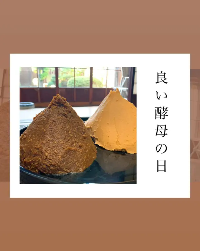 .
【酵母】

.
.
4月15日　『良い酵母の日』です✨

酵母菌は空気中、土壌、植物など、自然界のいたるところに生息する微生物です。

パン酵母やビール酵母、日本酒酵母など
耳にしたことがある方も多いのではないのでしょうか😊

発酵食品には欠かせない酵母には
◉糖質の吸収を抑制する効果
◉便秘を改善する効果
◉免疫力を高める効果
◉疲労回復効果
などたくさんの健康効果があります！

酵母菌は発酵する過程で
さまざまな香気成分を生み出します✨
発酵食品の香りにおいて、
酵母菌は主役とも言える存在なのです😊✨

.
.
-*-*-*-*-*-*-*-*-*-*
オンラインストア
コーポレートサイトは
プロフィールページのURLから
とべます☺︎

★鷲民コーポレートサイト★

https://washitami.com/

★鷲民YouTube★
https://m.youtube.com/watch?v=VK8J74n9P-I&autoplay=1

-*-*-*-*-*-*-*-*-*-
#よい酵母の日
#良い酵母の日
#酵母
#酵母菌　

#山形県　　　#庄内
#鶴岡市　　　#発酵食品
#免疫力　　　#免疫力アップ
#菌活　　　　#腸活
#発酵　　　　#味噌
#醤油　　　　#甘酒
#酒粕　　　　#からし漬けの素
#わしだのあま酒　#japanesefood
#おうちごはん　#体に優しい
#体は食べたものでできている
#鷲田民蔵商店　#鷲民